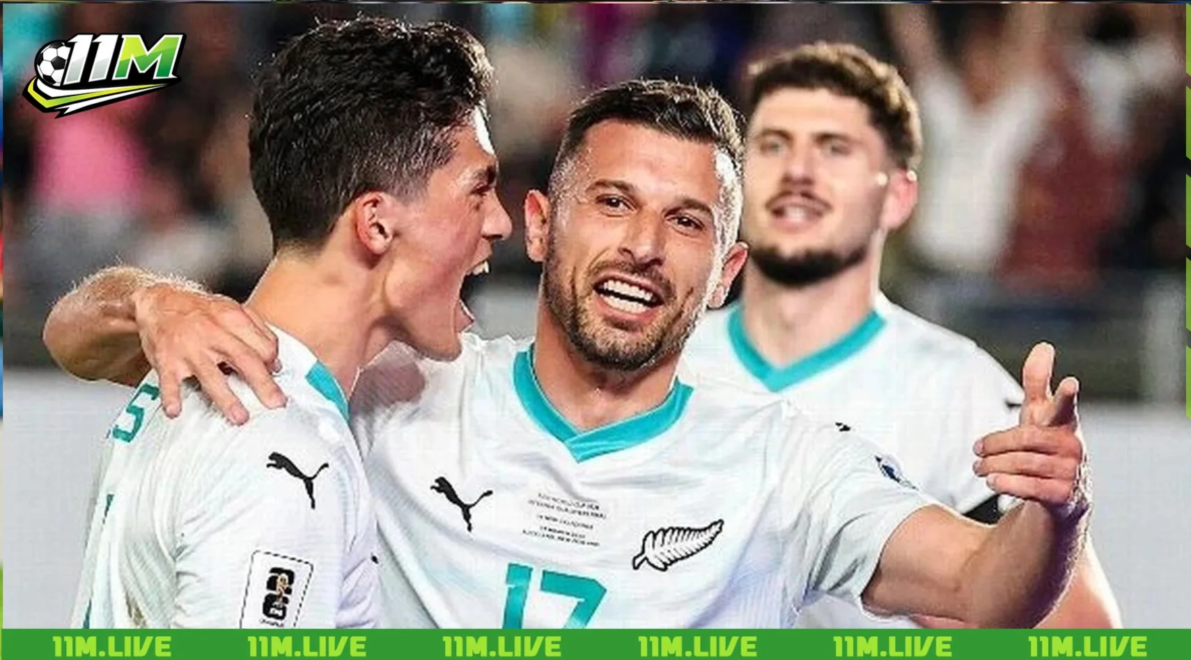 đội tuyển bóng đá quốc gia new zealand